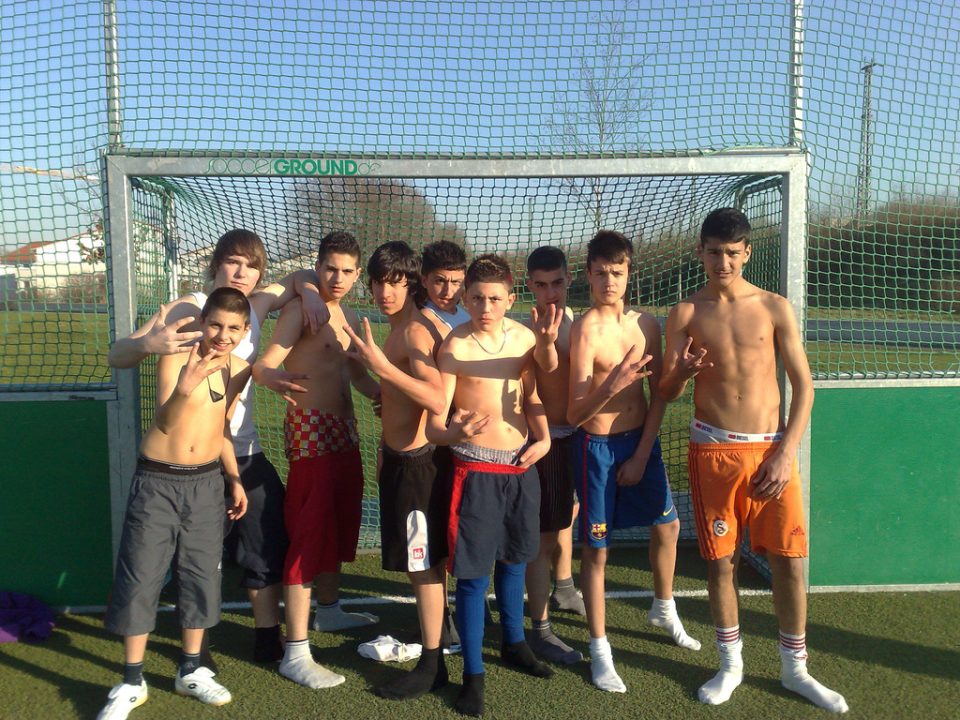 beautiful bunch