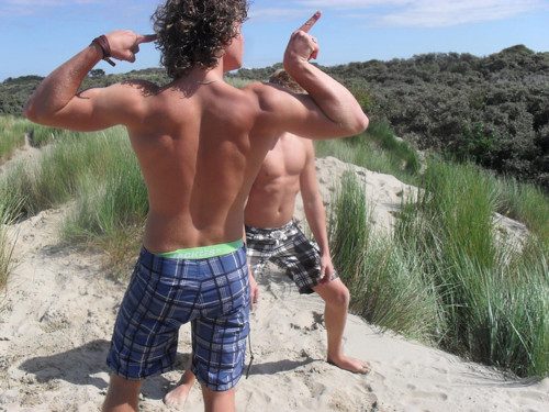 tumblr m18xv8YgOc1qfzd0ko1 500