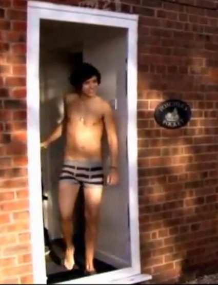 ONEDtoplessHarry