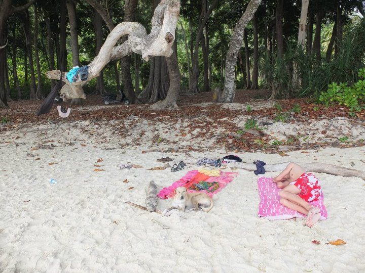 Michi on the beach