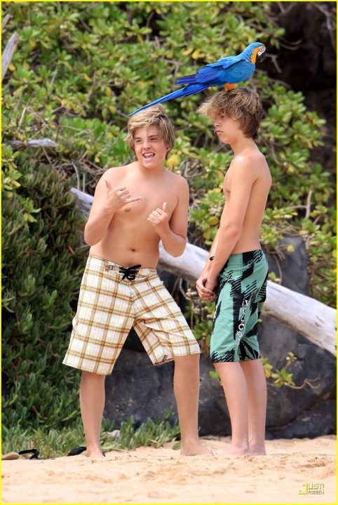 shirtless Sprouse