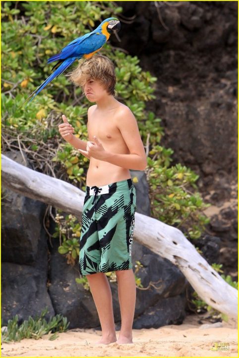 shirtless Sprouse