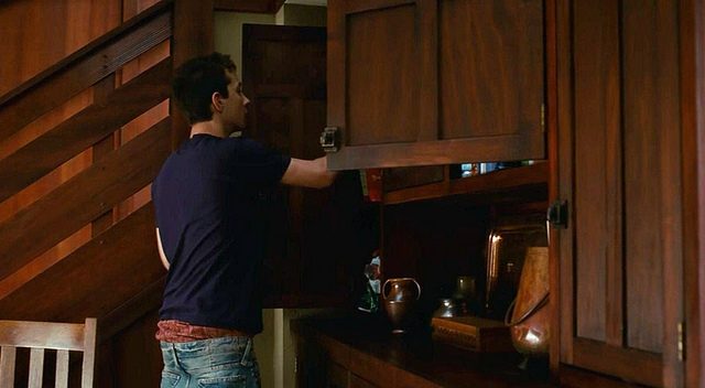 Shia Lebouf Disturbia