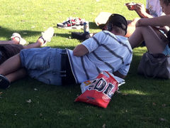 sagger at the beach