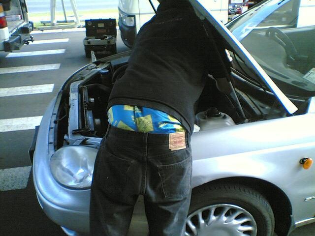 nz_sagger