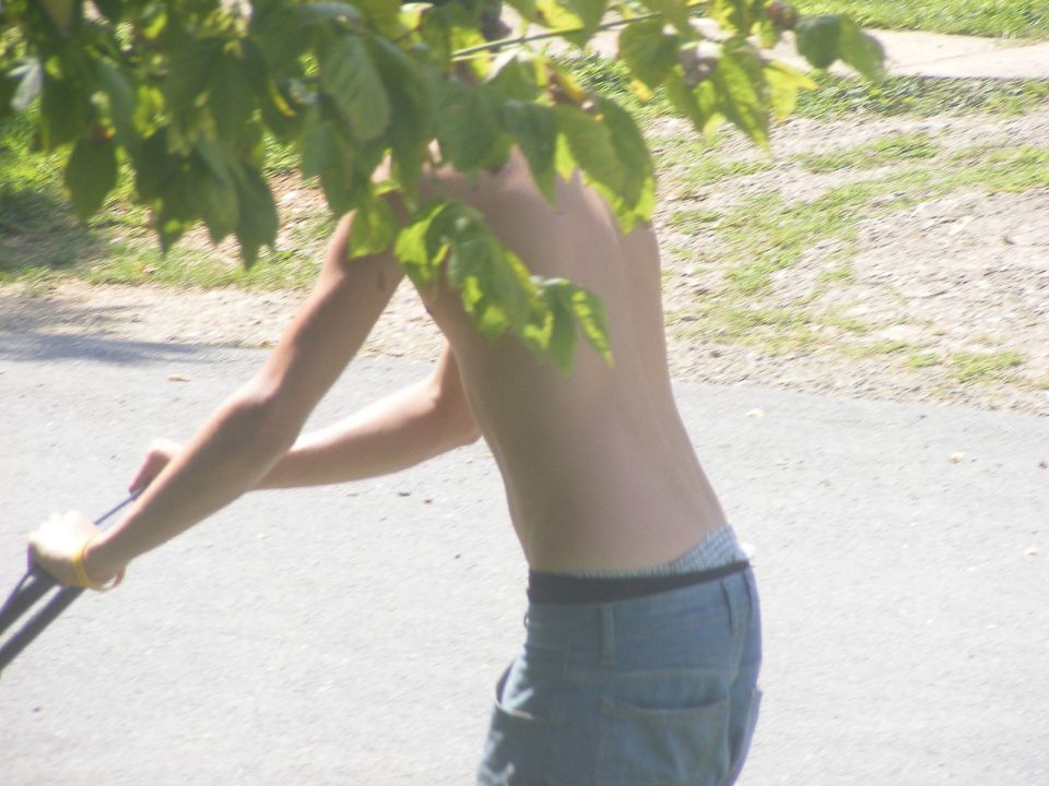 lawn boy