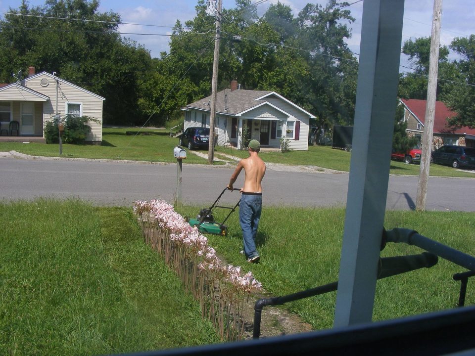 lawn boy