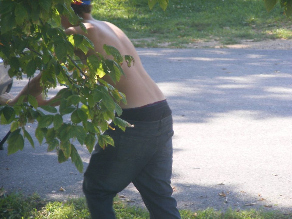 Lawn Boy 2