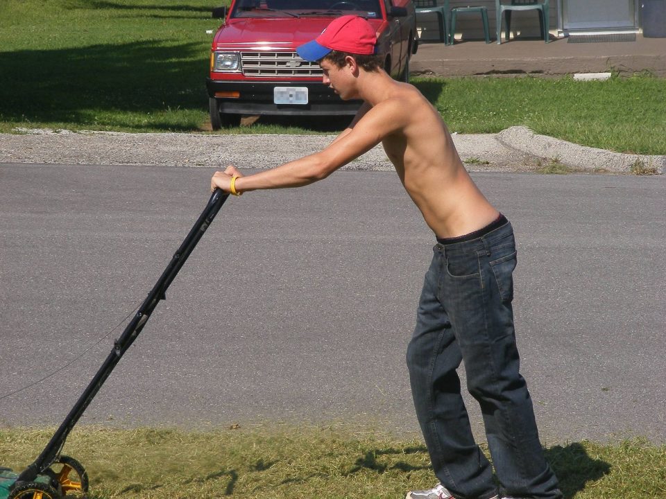 Lawn Boy 2