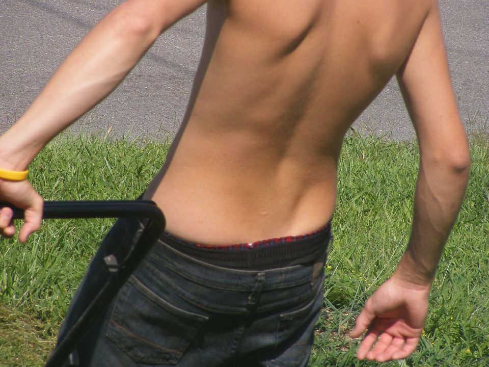 Lawn Boy 2