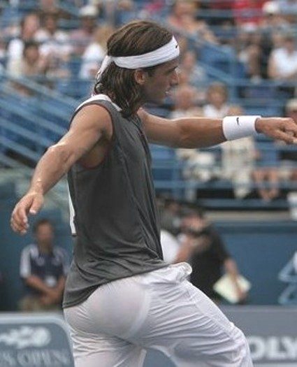 feli