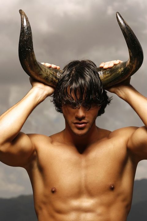 Male Perfection