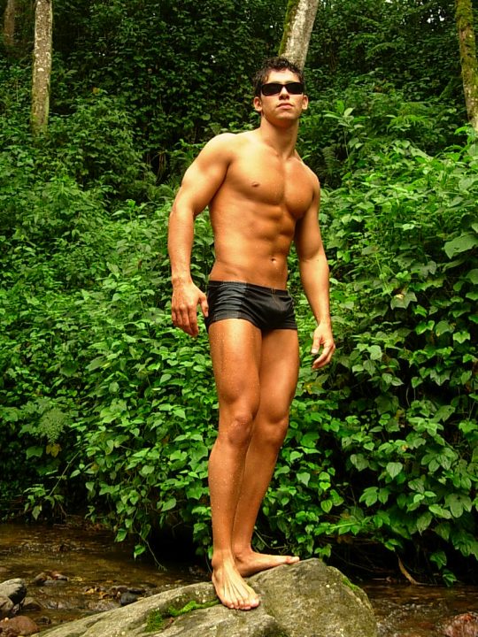 Male Perfection