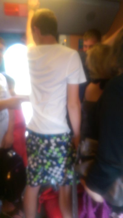 Belgian Sagger on Train