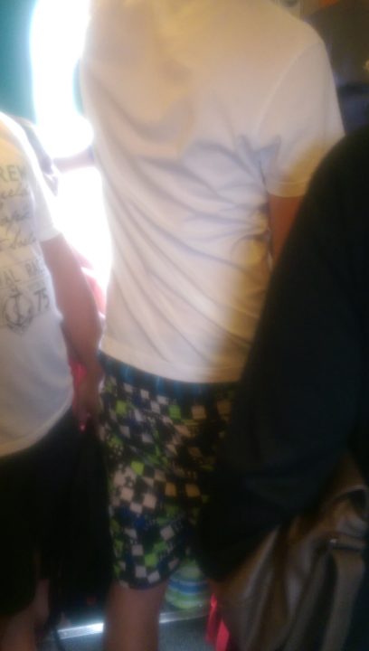 Belgian Sagger on Train