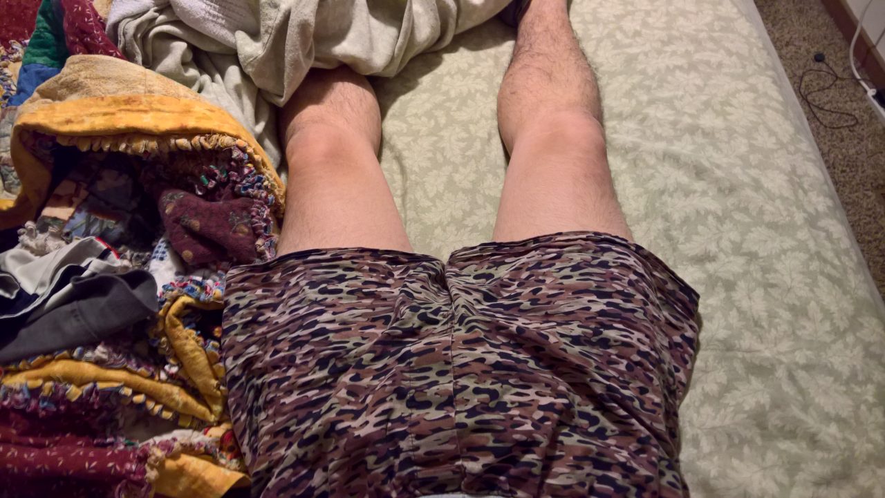 WP_20161208_08_09_52_Pro.jpg