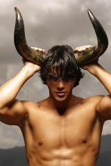 Male Perfection