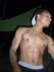 Bow Wow