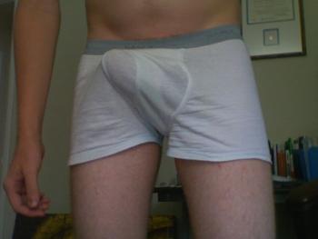 Boxer Boys