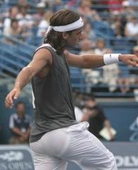 feli