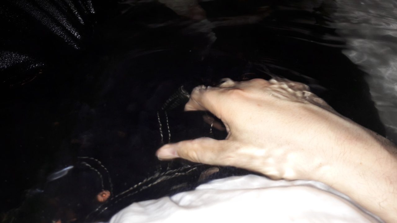20170501_183843.jpg