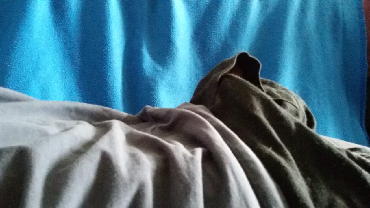 20170802_151922.jpg