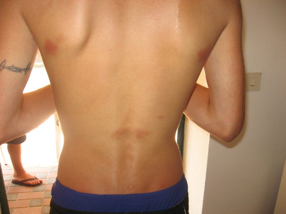 back sdie.jpg