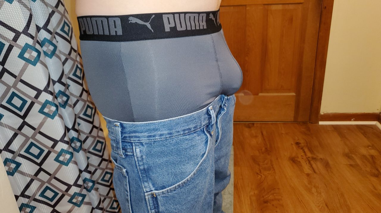 Puma2