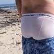 Euro_sagger