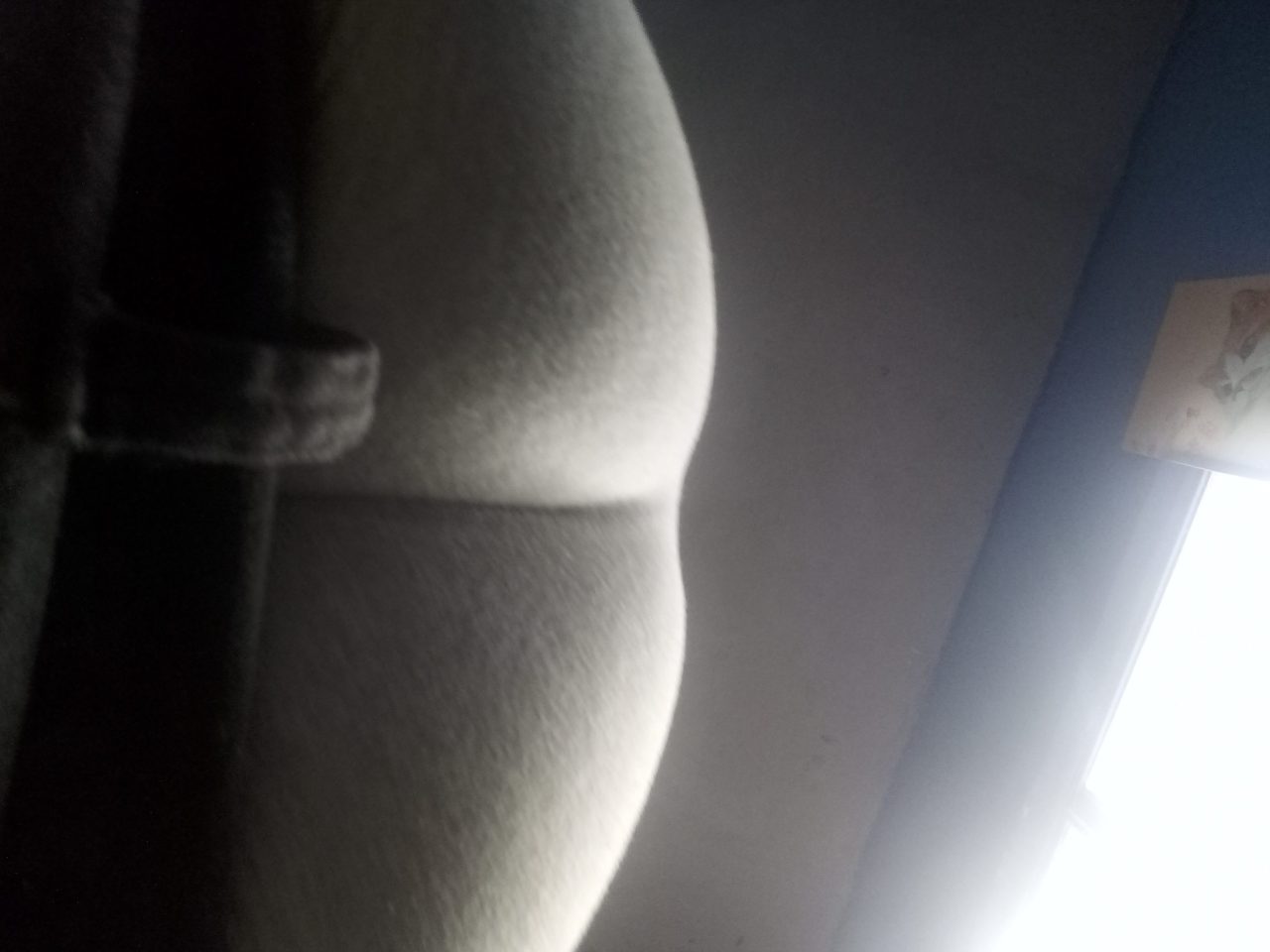 20260709_182451.jpg