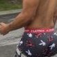 808Saggsntats